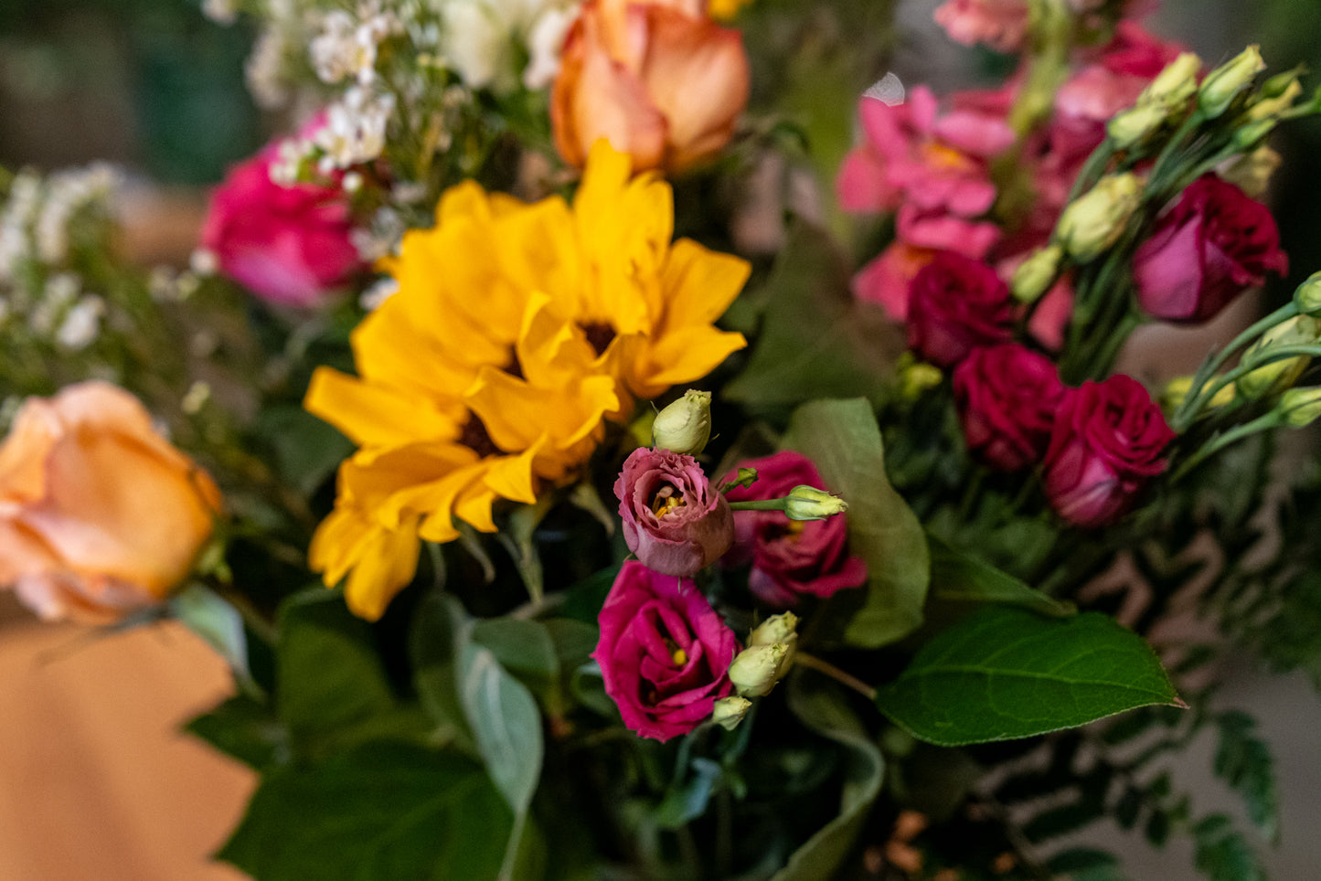 Purrfect petals