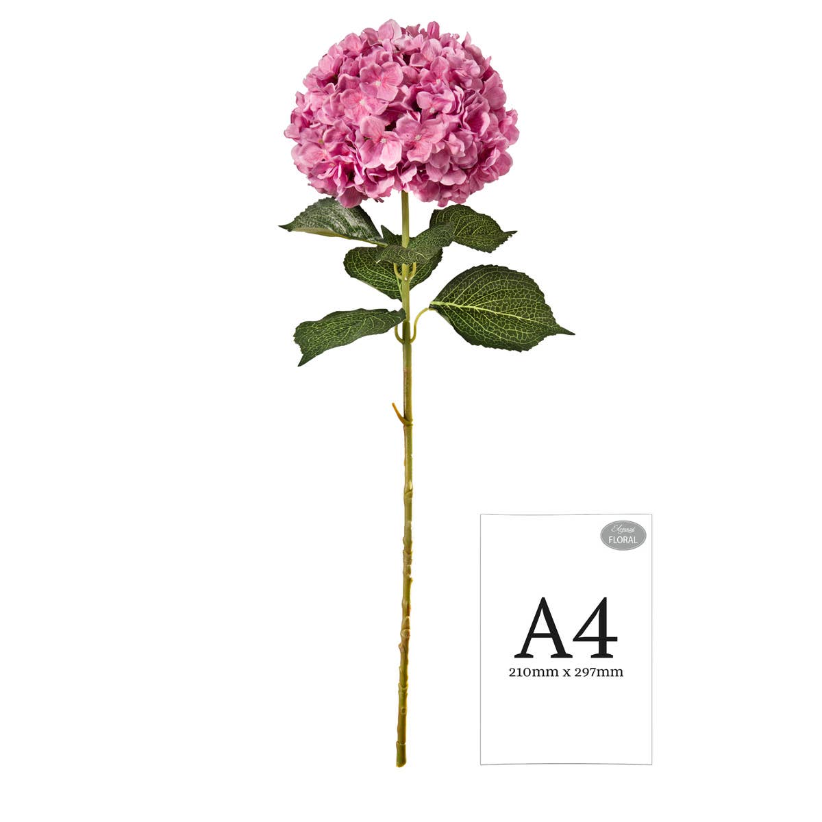 Large Head Hydrangea Cerise 92cm