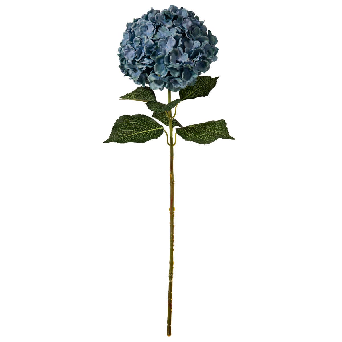 Large Head Hydrangea Blue Green 92cm