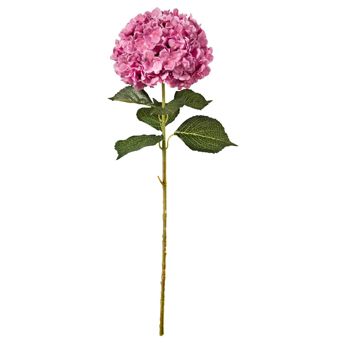 Large Head Hydrangea Cerise 92cm