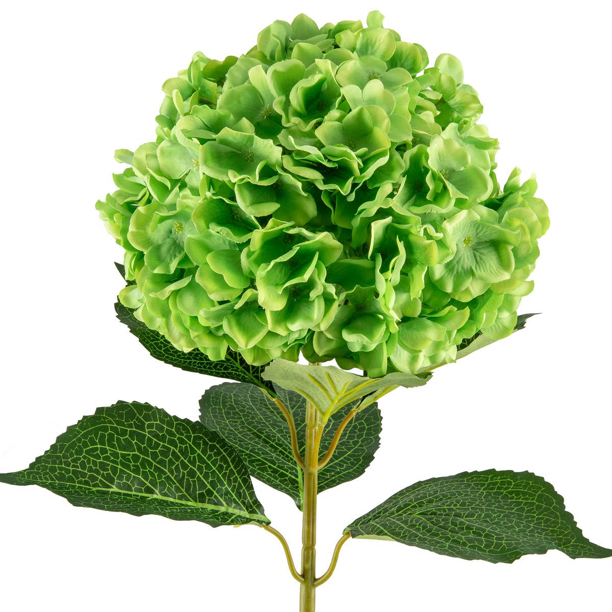 Large Head Hydrangea Green 92cm