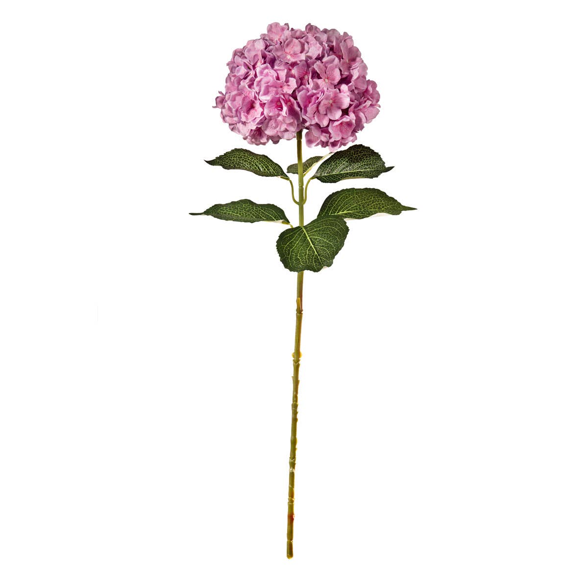 Large Head Hydrangea Two Tone Pink