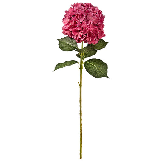 Large Head Hydrangea Fuchsia