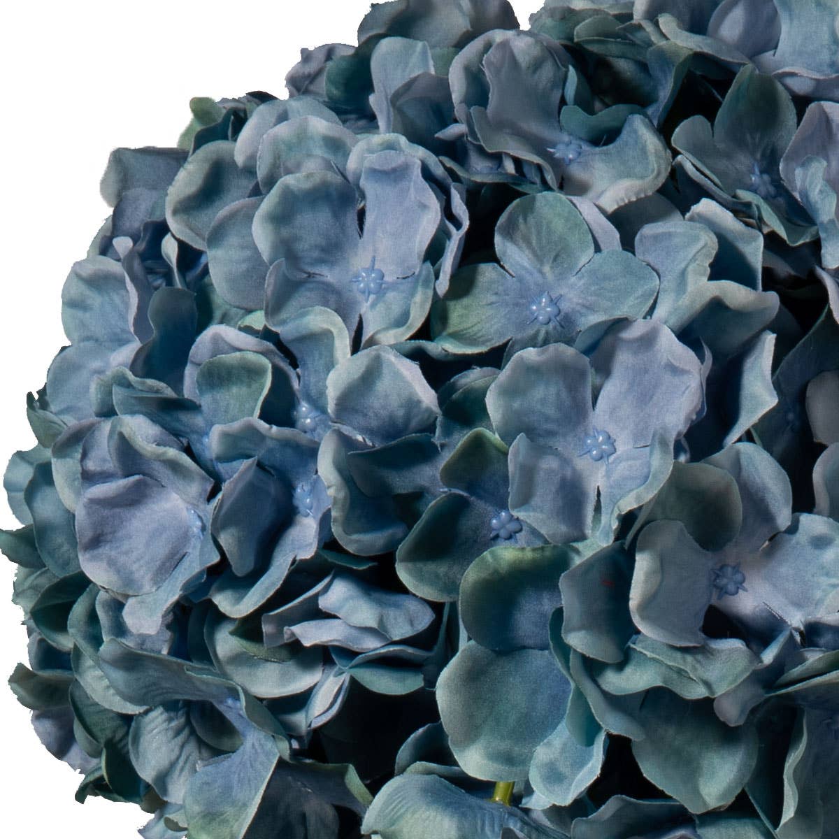 Large Head Hydrangea Blue Green 92cm