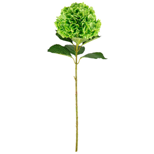 Large Head Hydrangea Green 92cm
