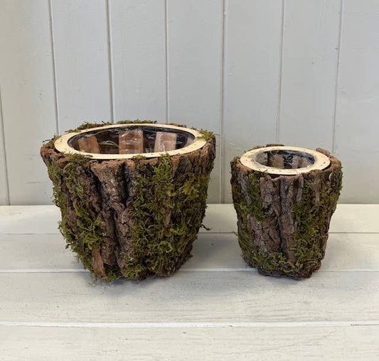 Set Of Two Round Mossed Bark Wooden Pot