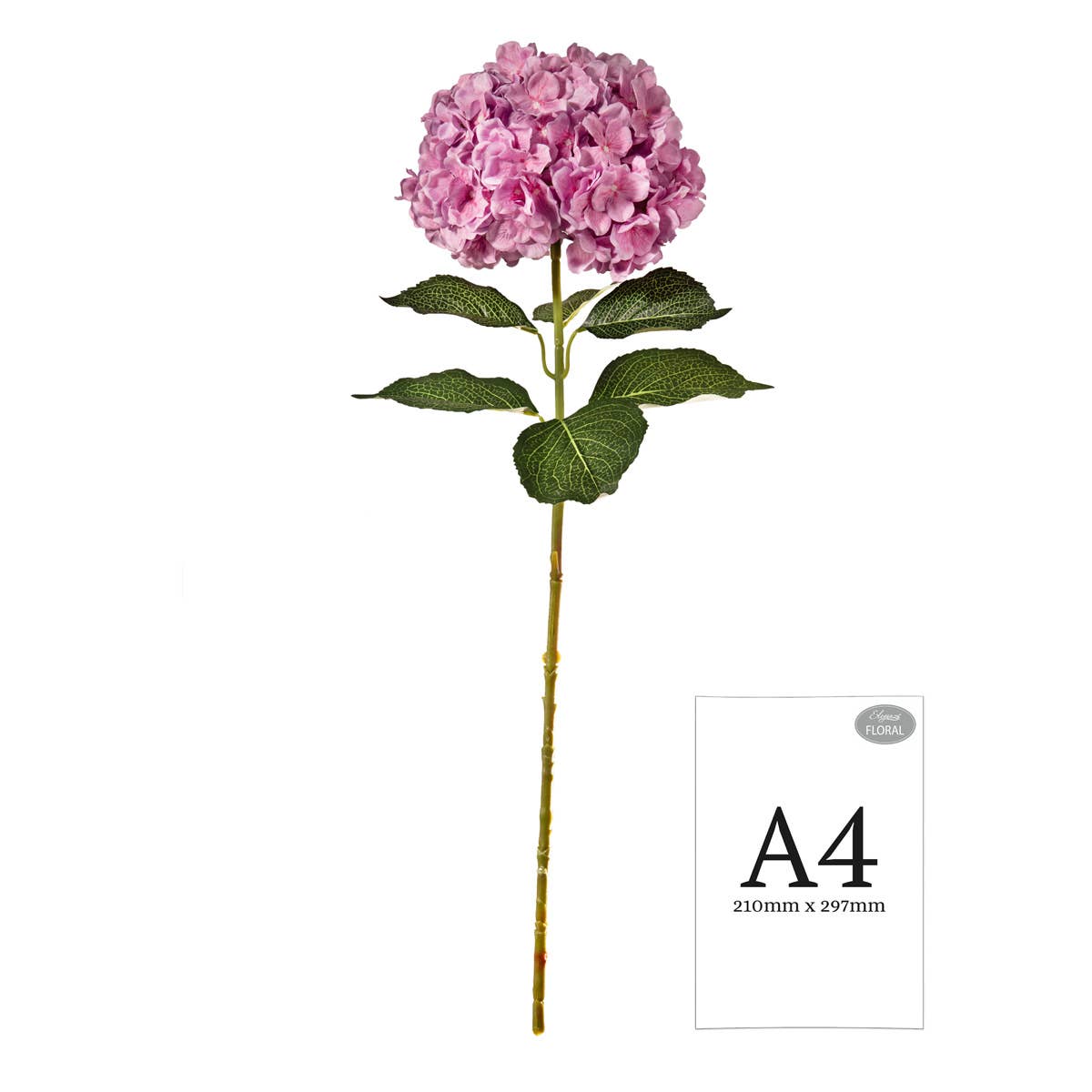 Large Head Hydrangea Two Tone Pink