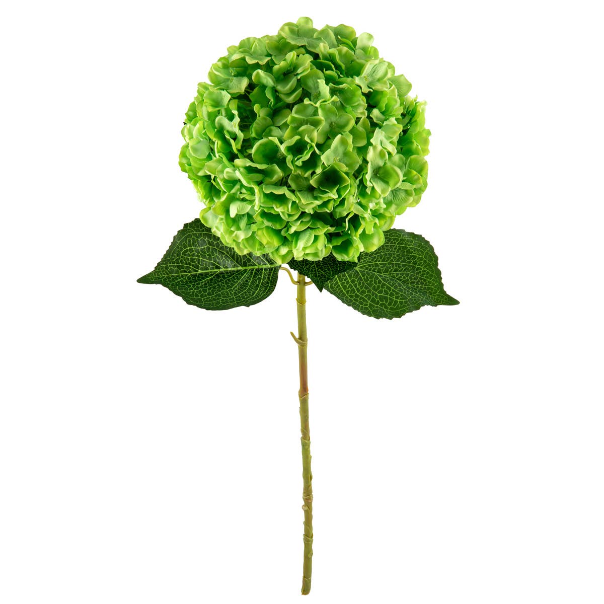 Large Head Hydrangea Green 92cm