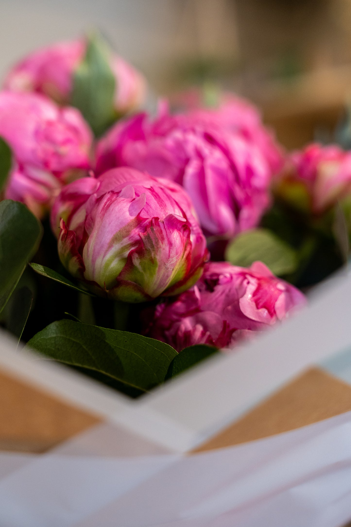 Peony opulence vase