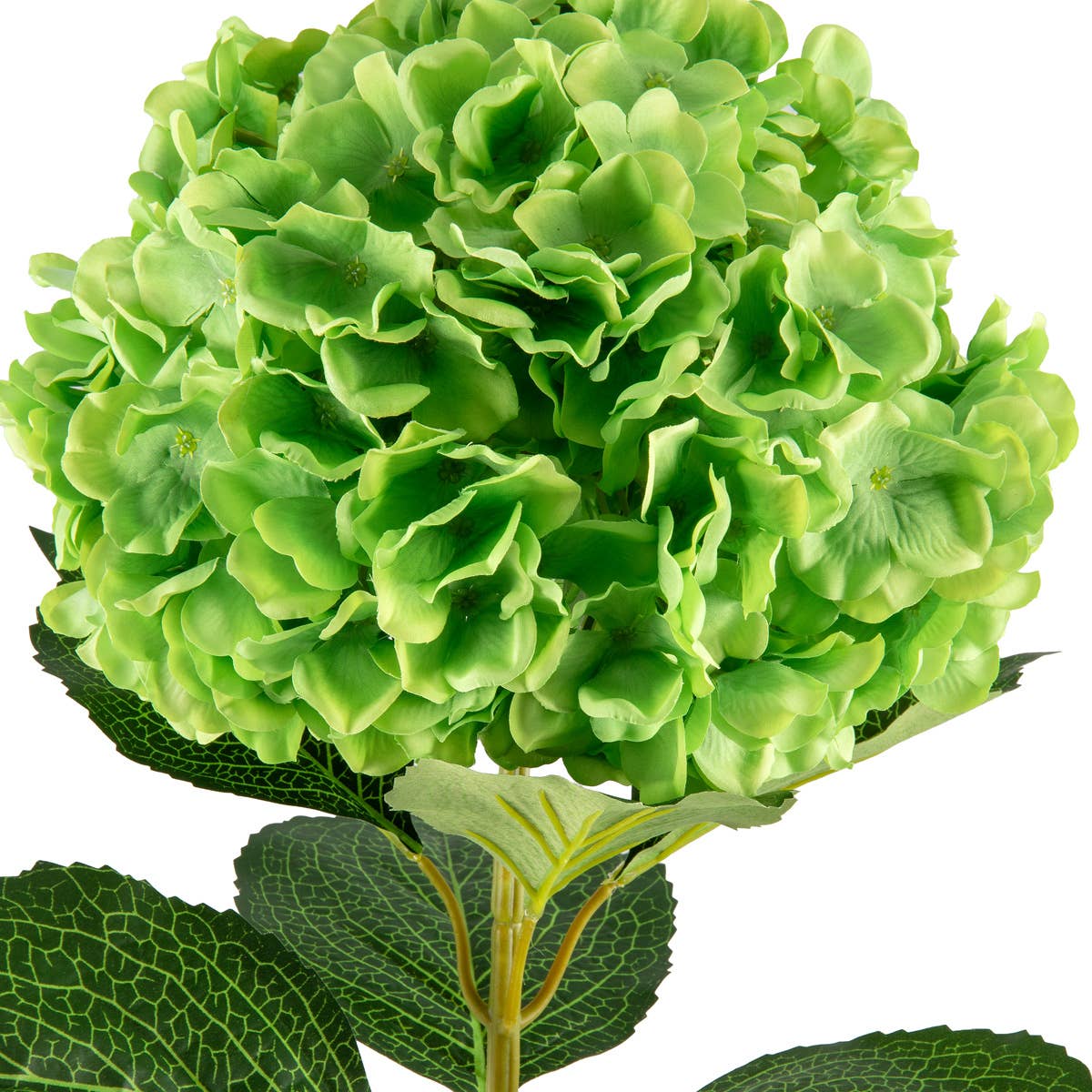 Large Head Hydrangea Green 92cm