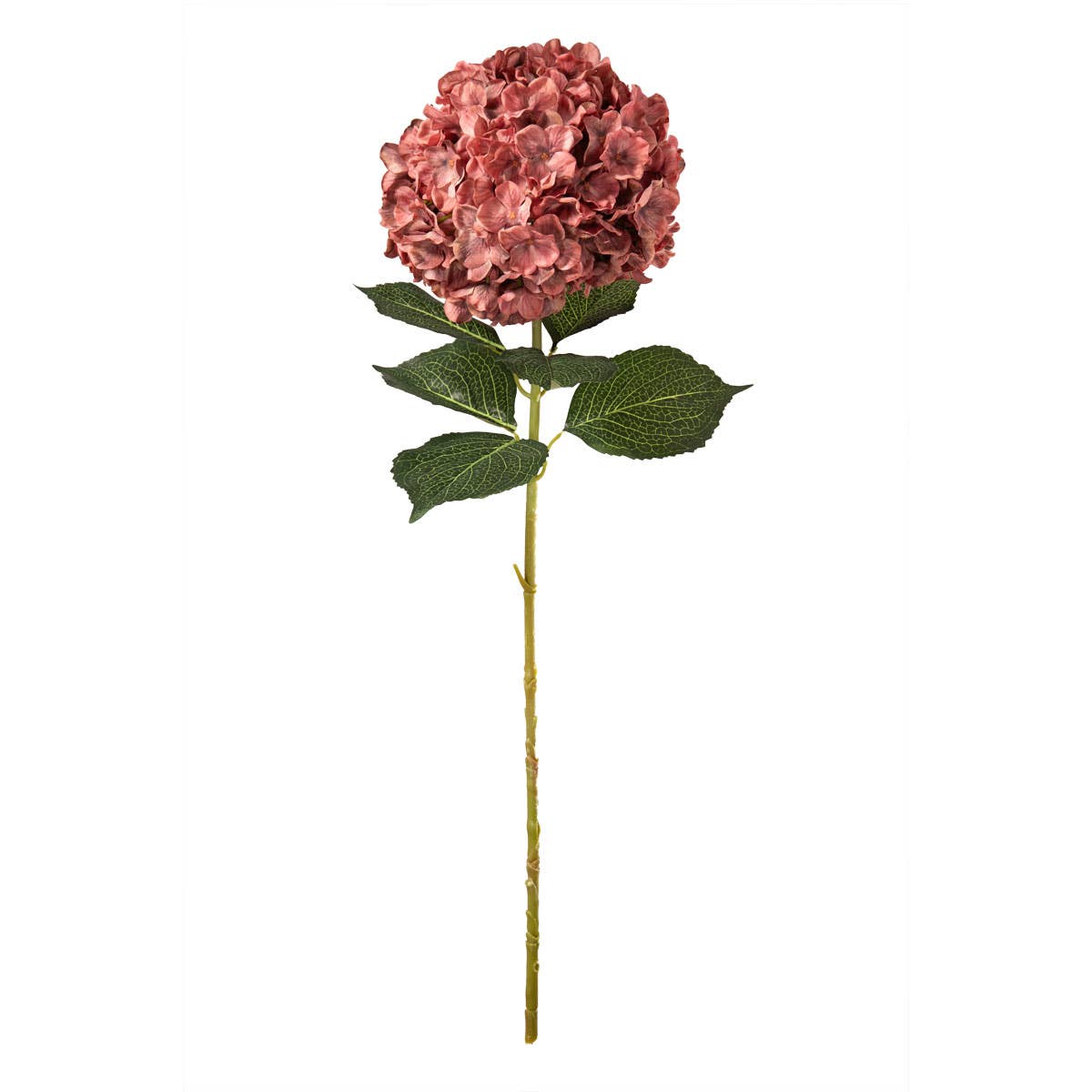 Large Head Hydrangea Vintage Rose