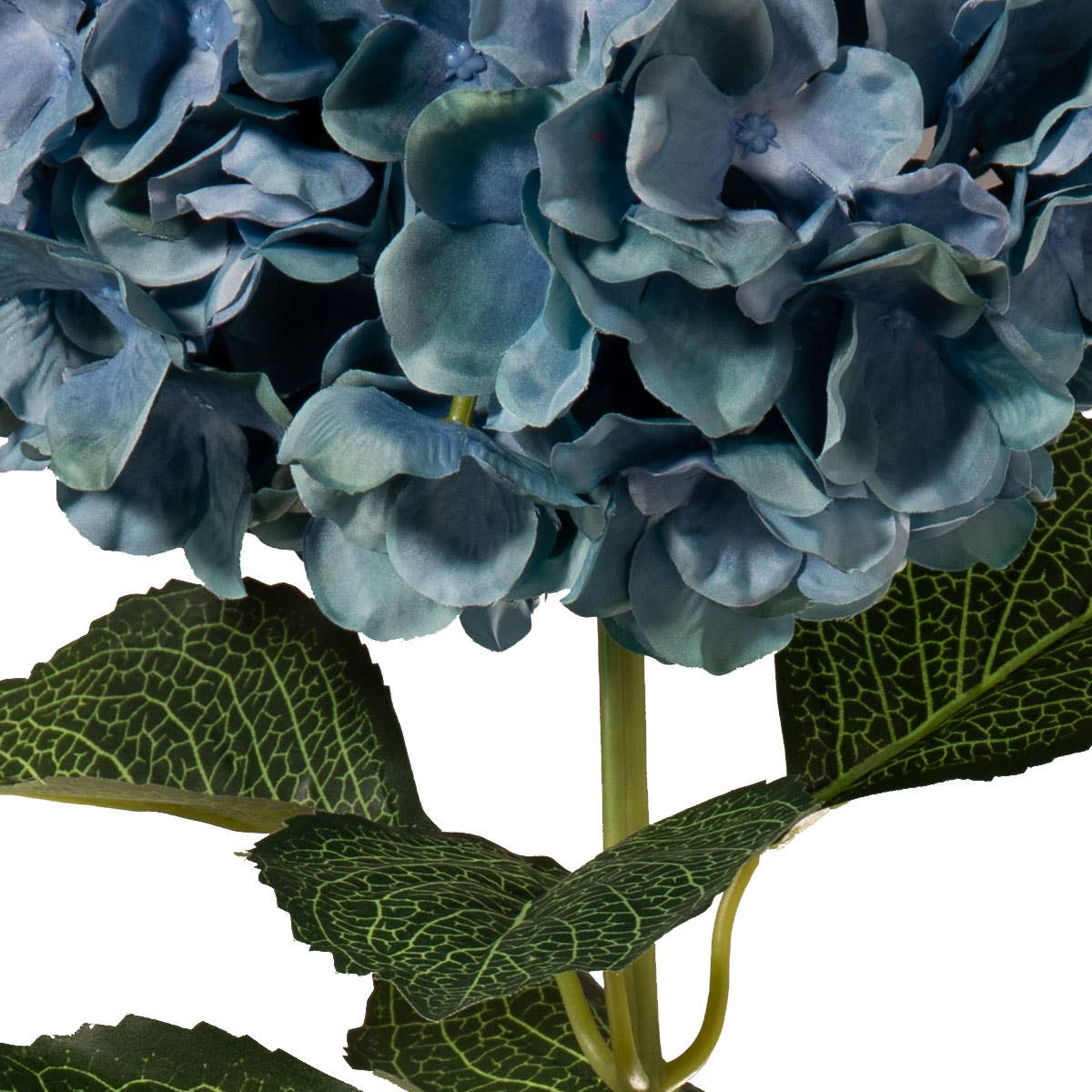 Large Head Hydrangea Blue Green 92cm