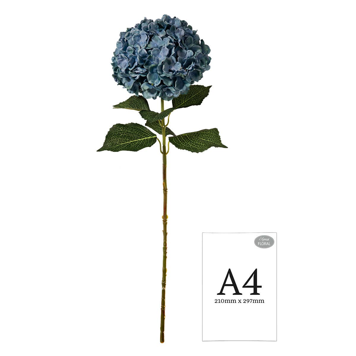 Large Head Hydrangea Blue Green 92cm