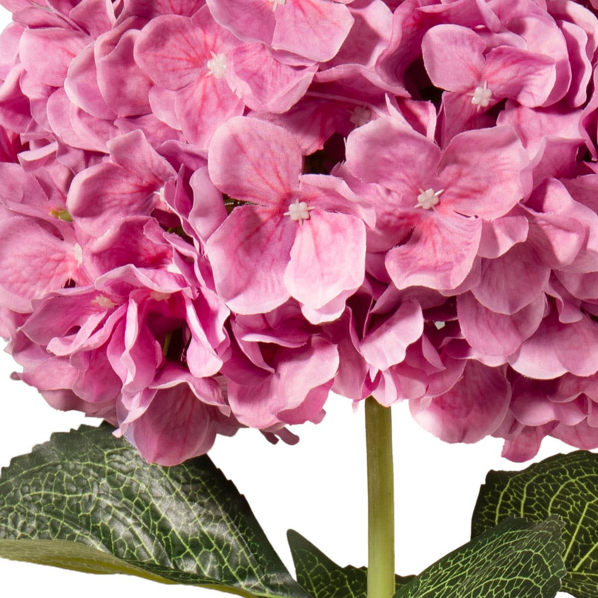 Large Head Hydrangea Cerise 92cm