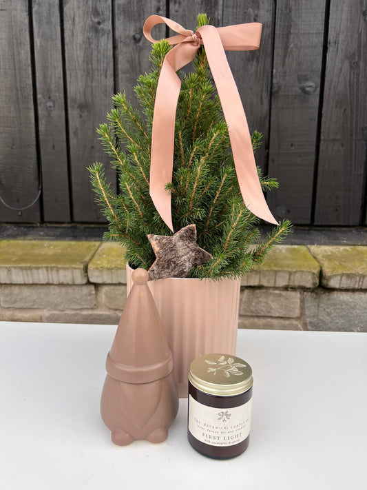 Gnome for the holidays gift set