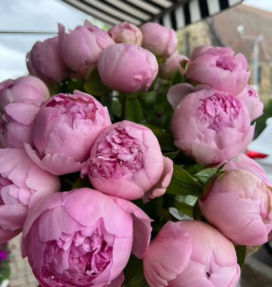 Peony Hand tie.